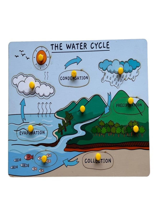 Kiddiwinks Winkslab: Nature's Recycling System: The Wonders of The Water Cycle - Image 1